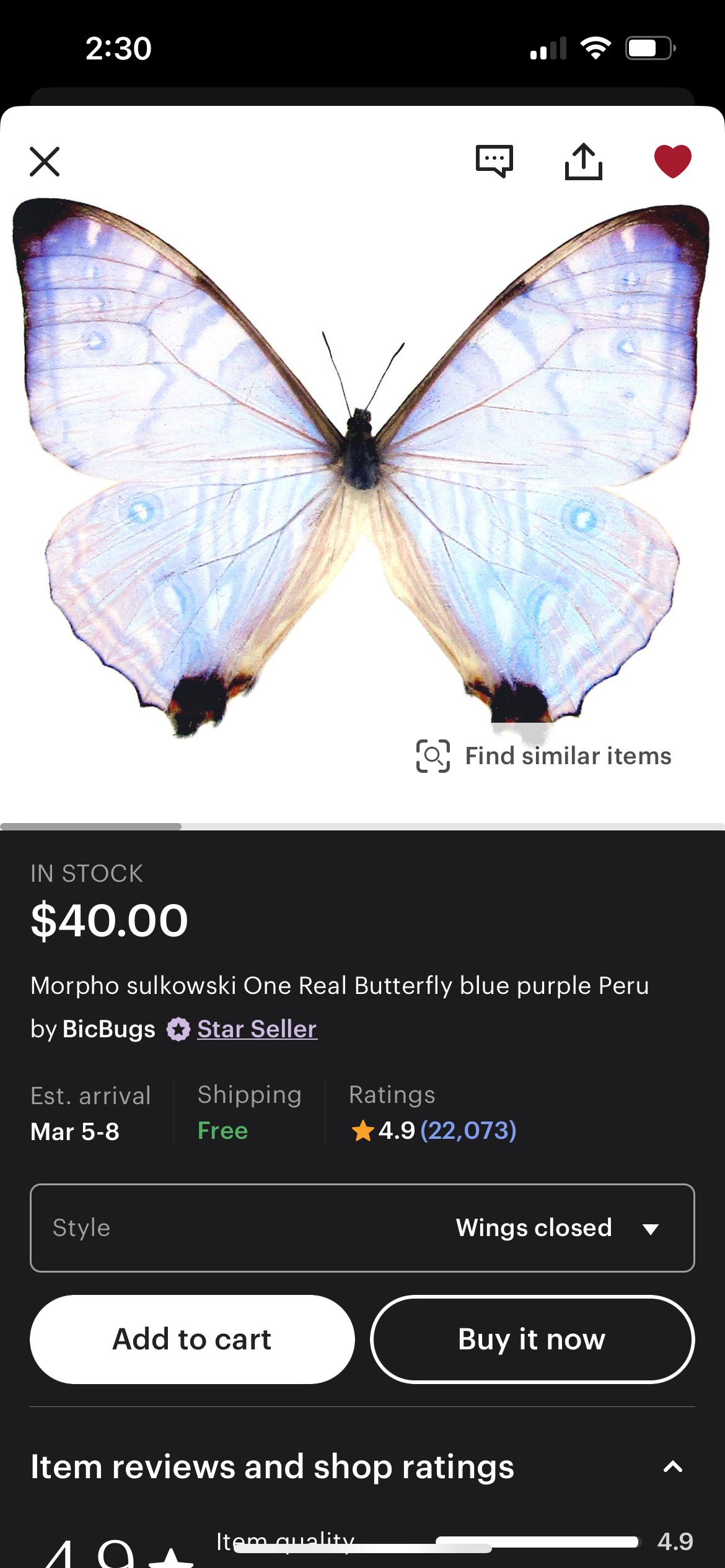 *Reserved* 💜 Morpho Sulkowski 3/19