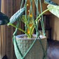 Sage, Natural Wooden Beaded Plant Hanger