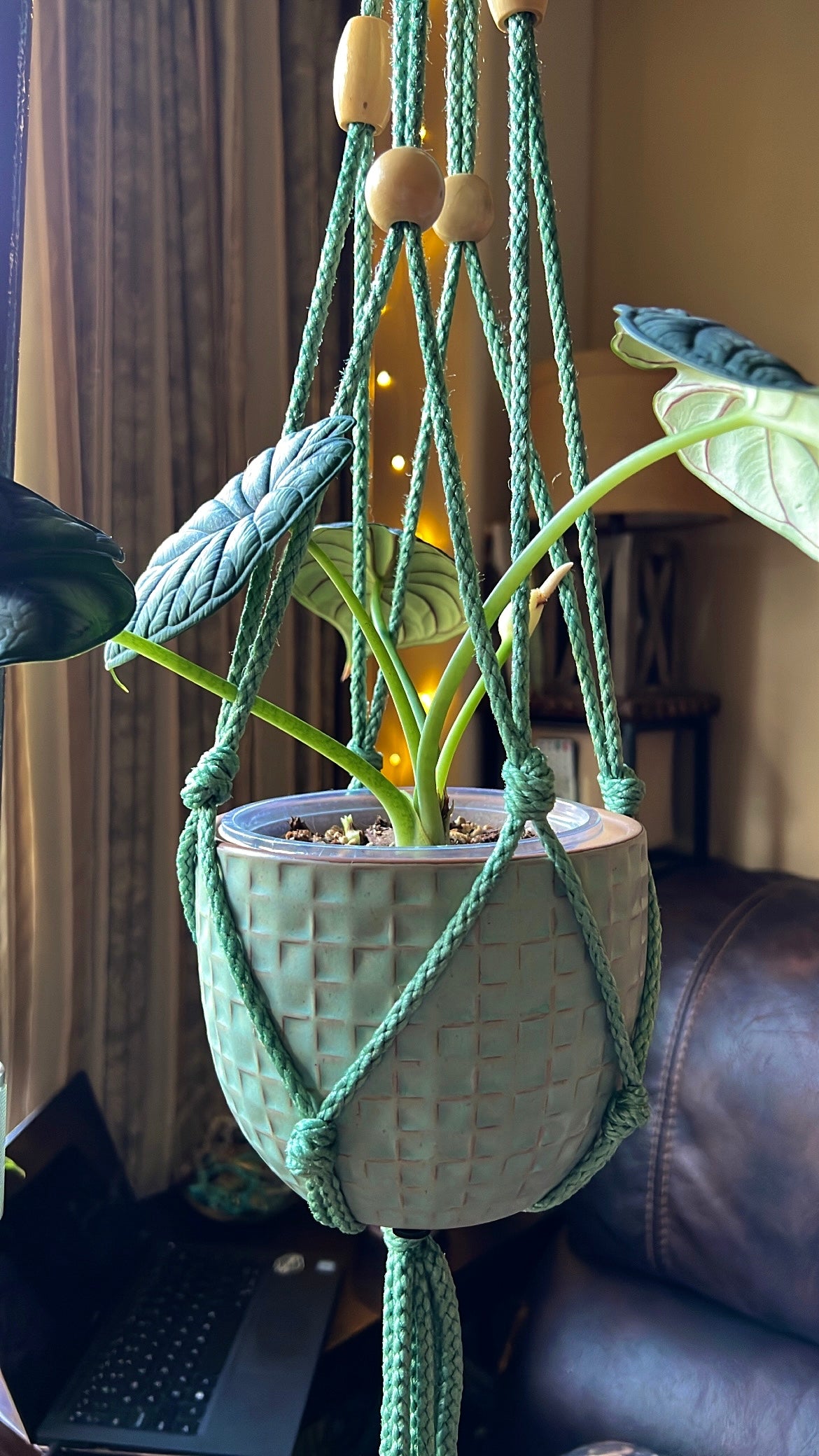 Sage, Natural Wooden Beaded Plant Hanger