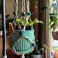 Turquoise Wooden Beaded Plant Hanger