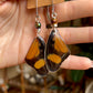 Asterope Verso Peru Butterfly with Mystic Titanium Tiger Eye