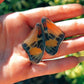 Asterope Verso Peru Butterfly with Mystic Titanium Tiger Eye